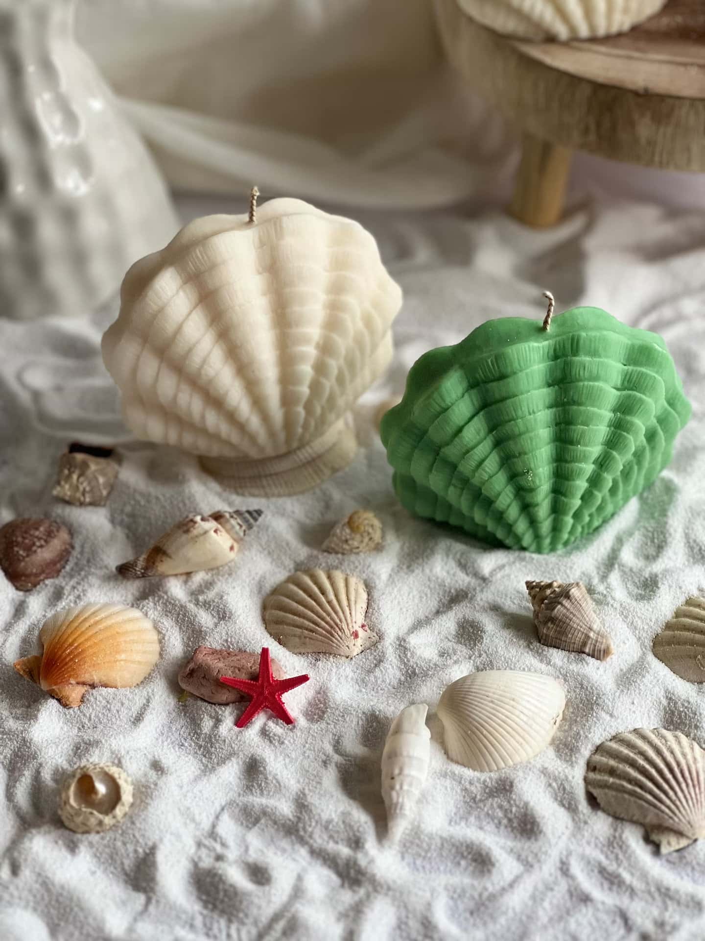 Large Sea Shell Soy Wax Candles